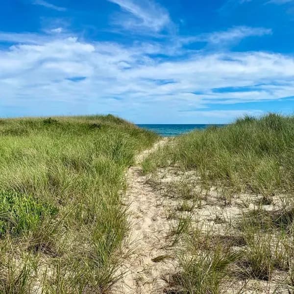 22 Sheep Pond Rd - Photo 5