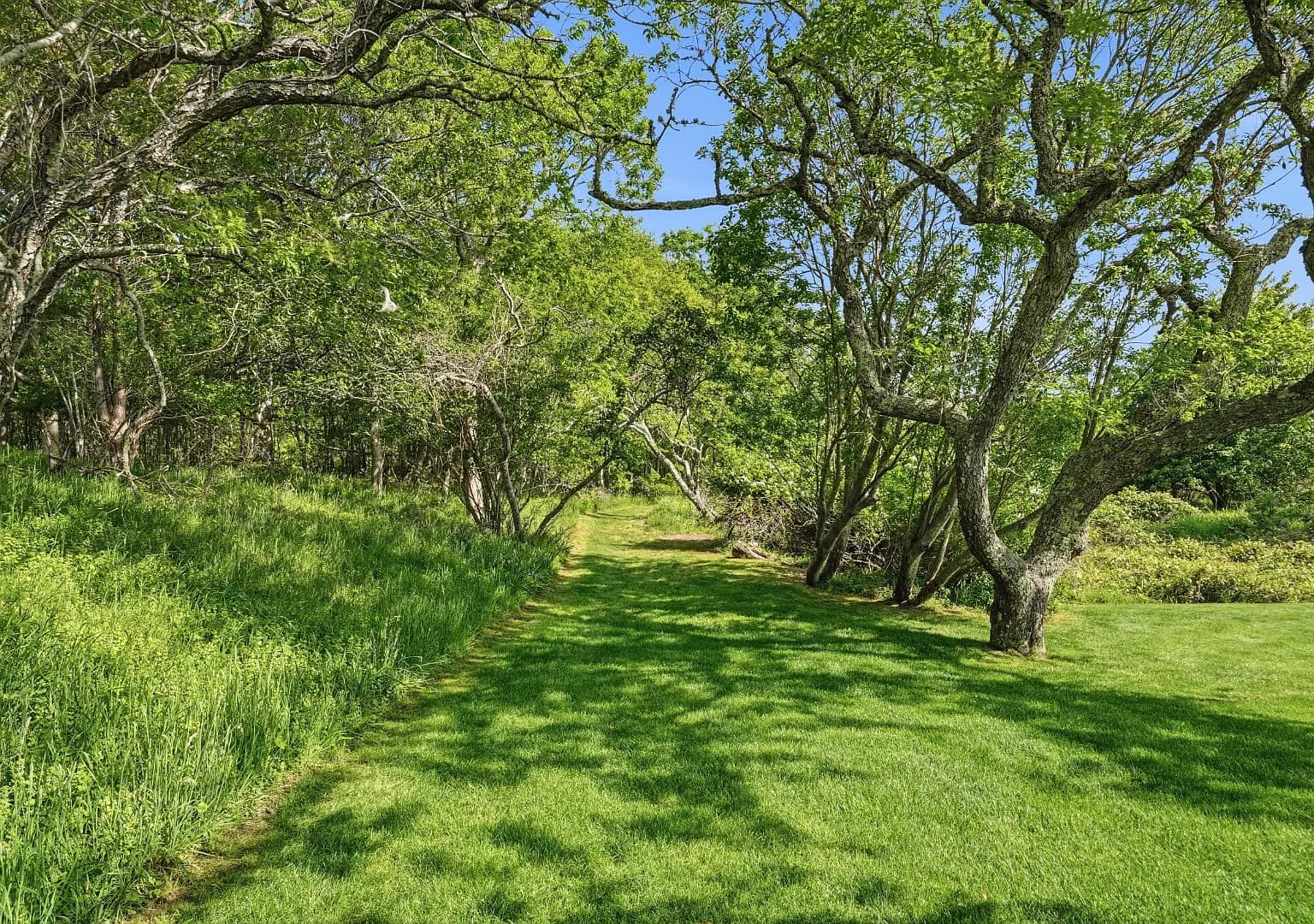 268 Polpis Rd - Photo 4