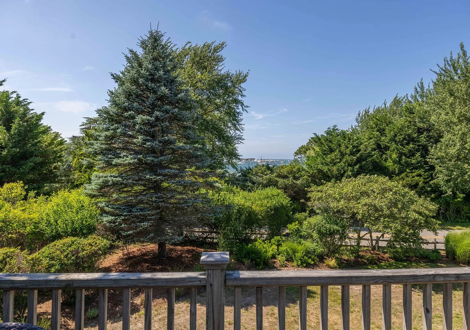 61 Monomoy Rd - Photo 6
