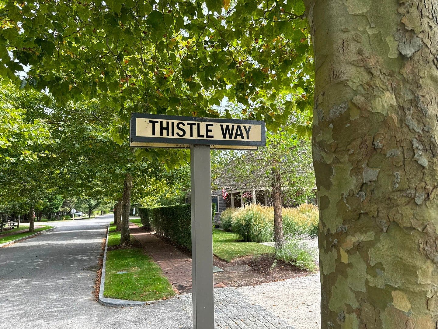 6 Thistle Way - Photo 1